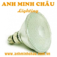 Đèn LED bóng PAR  AMC-PAR38 9W 180